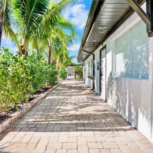 A sunlit pathway beside a building with palm trees and a clear sky.