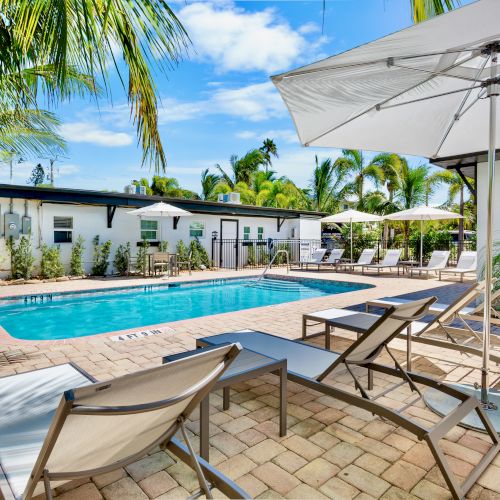 A sunny backyard pool area with lounge chairs, umbrellas, palm trees, and a bright blue sky.
