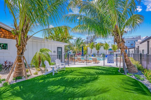 A tropical setting with two palm trees, a grassy area, and white chairs leading to a fenced pool area under a clear blue sky.