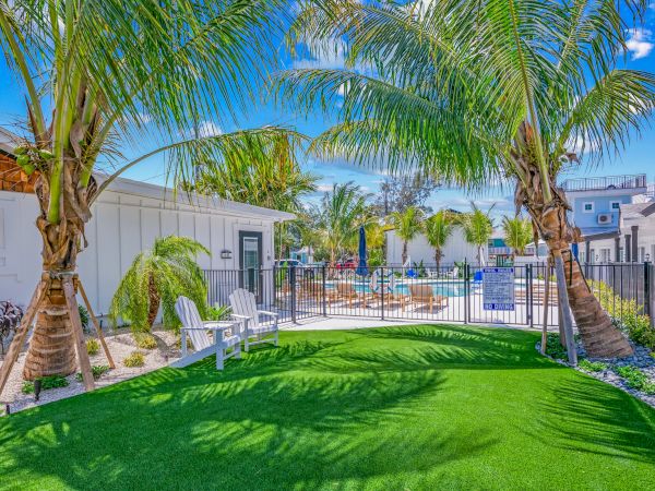 A tropical setting with two palm trees, a grassy area, and white chairs leading to a fenced pool area under a clear blue sky.