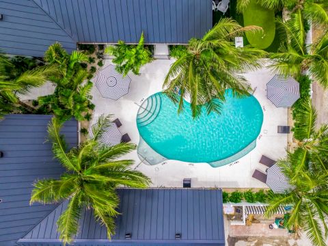 An aerial view of a kidney-shaped pool surrounded by palm trees, lounge chairs, and umbrellas, with buildings nearby on the edges.