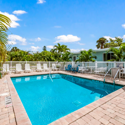 A bright outdoor scene features a swimming pool surrounded by palm trees, lounge chairs, and a white fence under a blue sky.