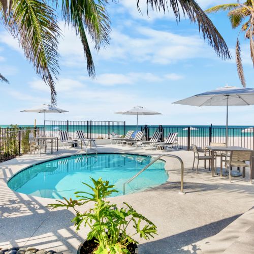 A small pool surrounded by lounge chairs and umbrellas is set near a beach with palm trees and ocean views under a clear blue sky.