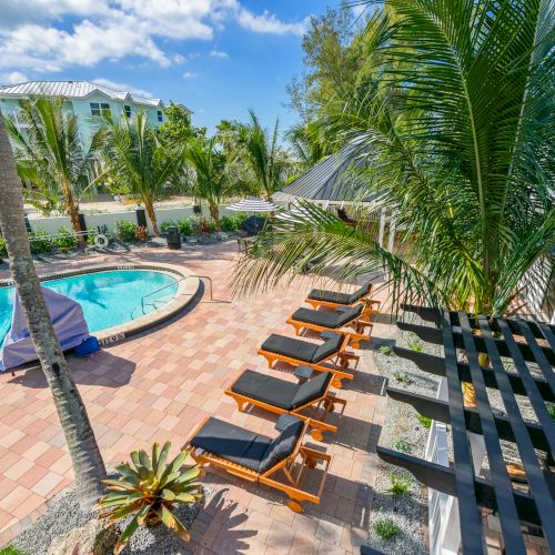 The image shows a poolside area with lounge chairs, surrounded by palm trees and a pergola in a sunny, tropical setting.