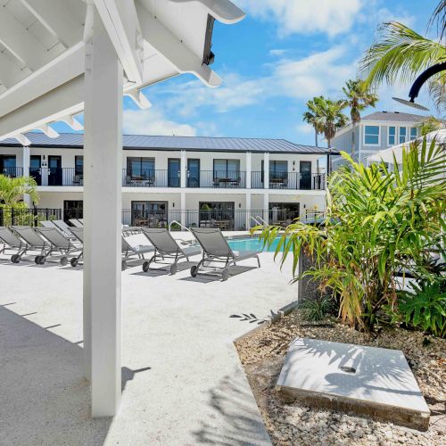 A sunny resort poolside with palm trees, lounge chairs, and a bright blue pool under a clear sky, framed by a modern building.