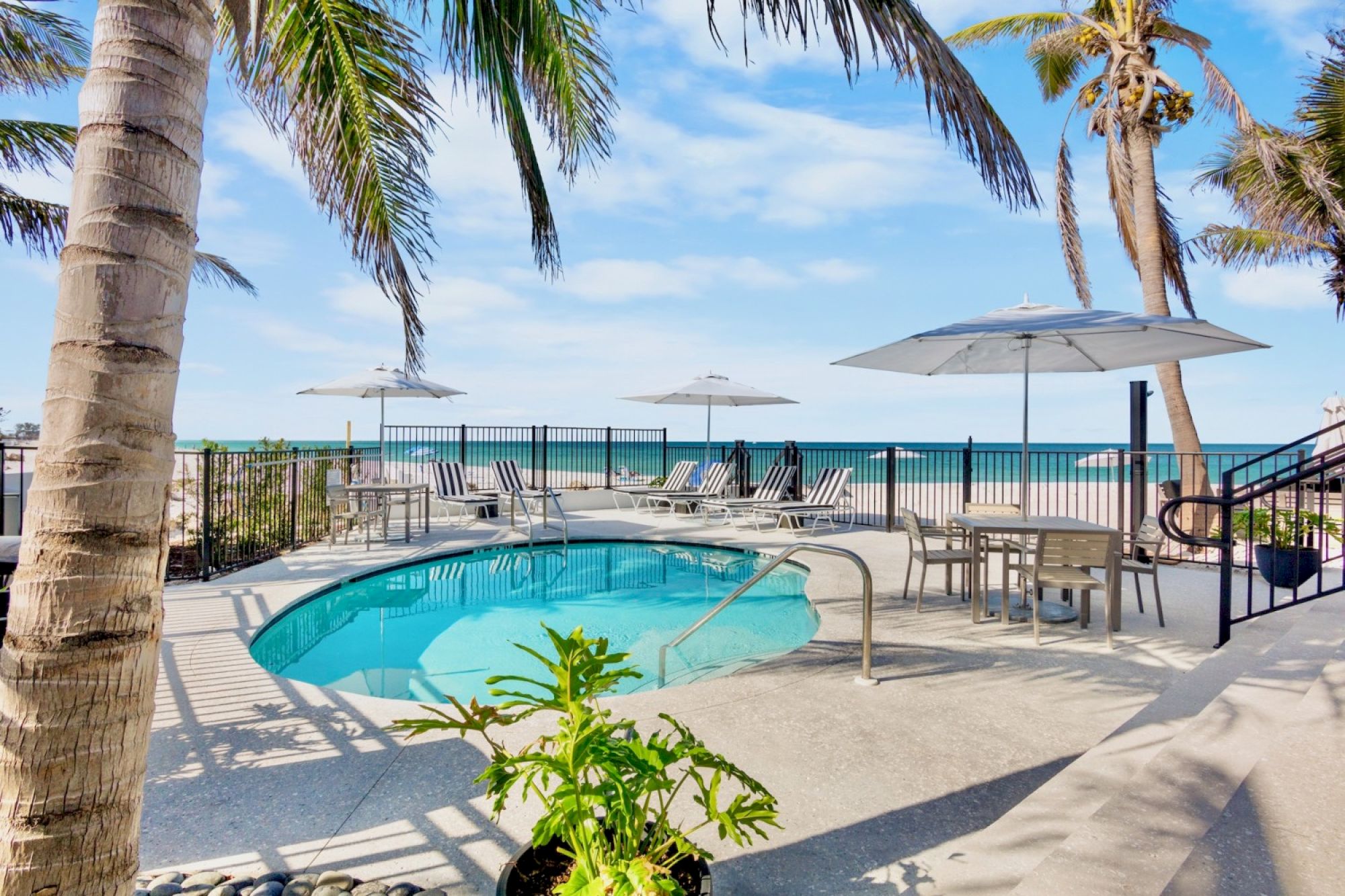 A small poolside area with lounge chairs and umbrellas is set against a beach view, surrounded by palm trees.