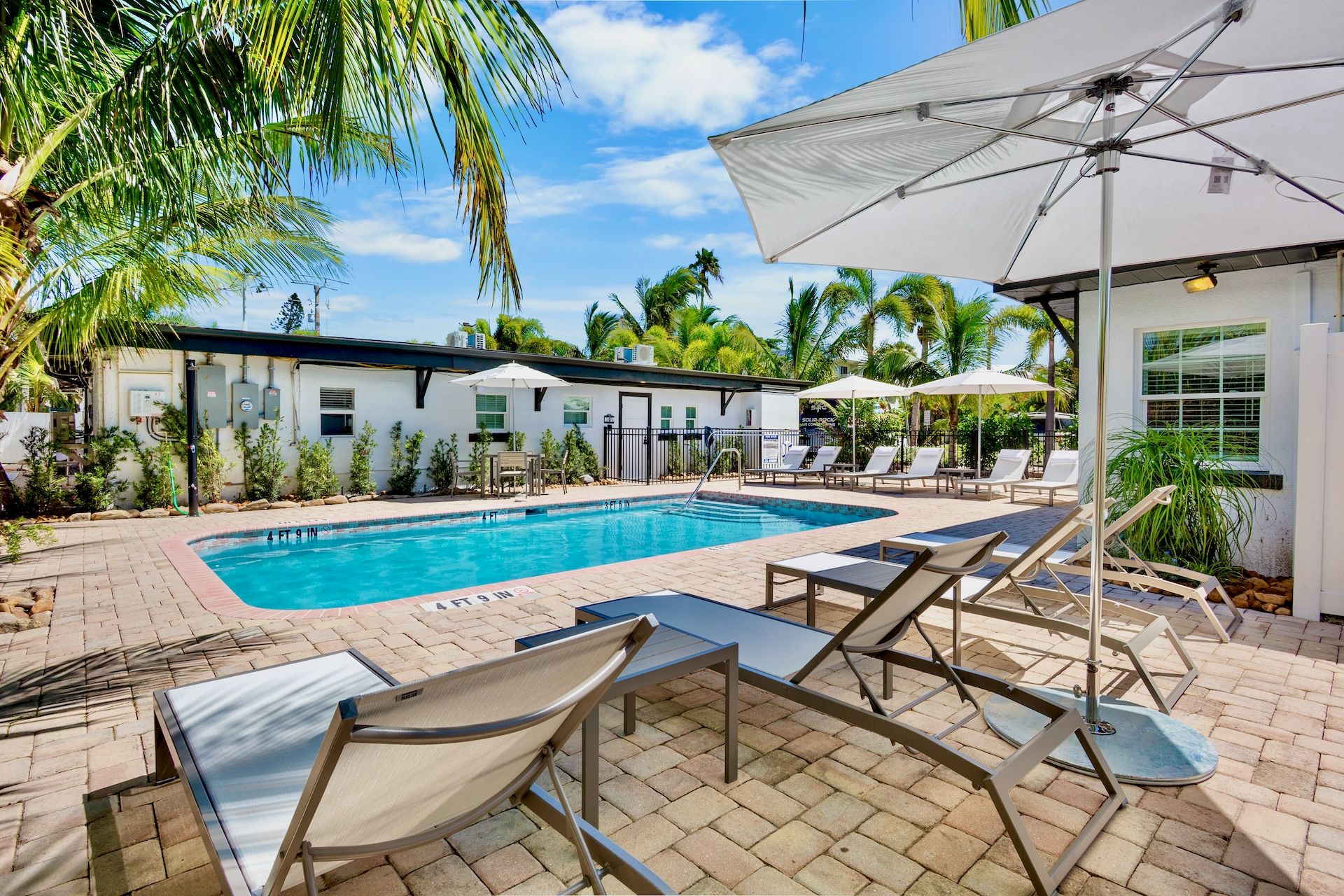 A sunny backyard with a swimming pool, surrounded by lounge chairs, palm trees, and umbrellas, offers a relaxing outdoor retreat.
