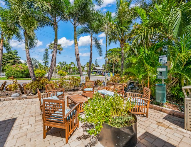 An outdoor patio area with wooden furniture, several palm trees, and lush greenery, under a clear sky.