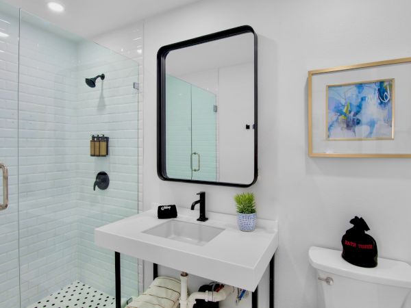 A modern, minimal bathroom with a glass shower, white sink and black fixtures, a framed art piece, and a small plant on the counter.