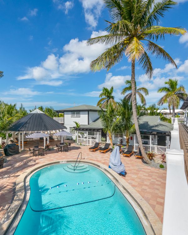 The image shows a tropical outdoor area with a swimming pool, palm trees, a lounge area, and a pergola, under a clear blue sky.
