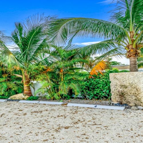 A tropical outdoor area with palm trees, sandy ground, and a white table with chairs near a building in the background.