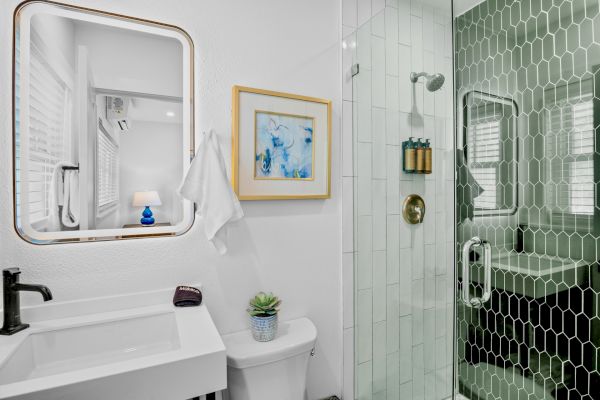 Modern bathroom with a hexagonal tile shower, white sink, framed art, and a small plant on the toilet tank.