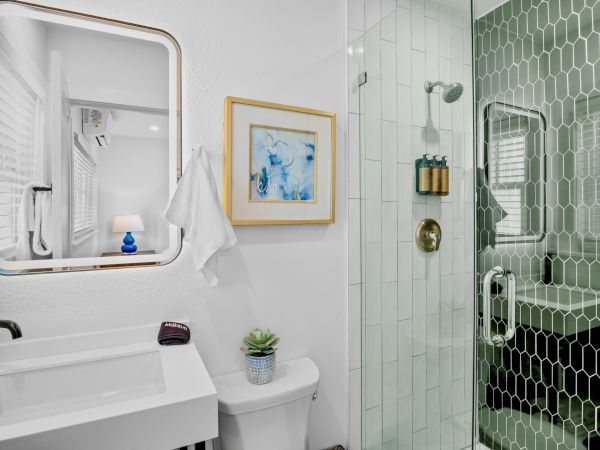 Modern bathroom with a hexagonal tile shower, white sink, framed art, and a small plant on the toilet tank.
