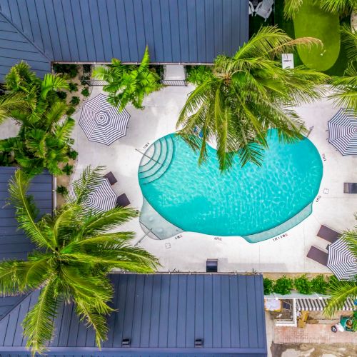 An aerial view of a kidney-shaped pool surrounded by palm trees, umbrellas, and loungers, enclosed by buildings.