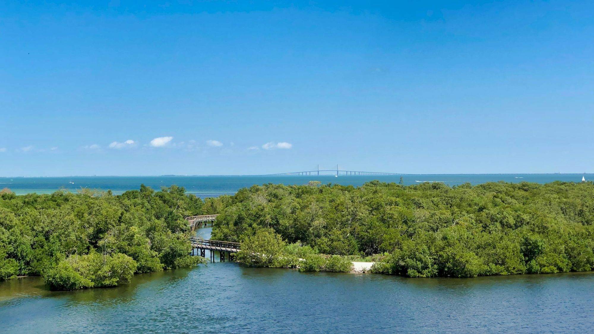 The image shows a scenic view with lush greenery, water, a distant bridge, and a clear blue sky.