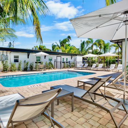 A backyard with a swimming pool, lounge chairs, umbrellas, and palm trees on a sunny day.