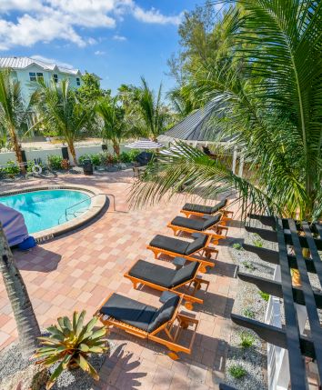 The image shows a tropical pool deck with sun loungers, palm trees, and a clear blue sky in the background.