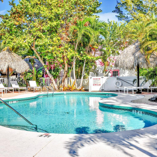 A tropical resort pool with clear water, white lounge chairs, and thatched umbrellas surrounded by lush palm trees.
