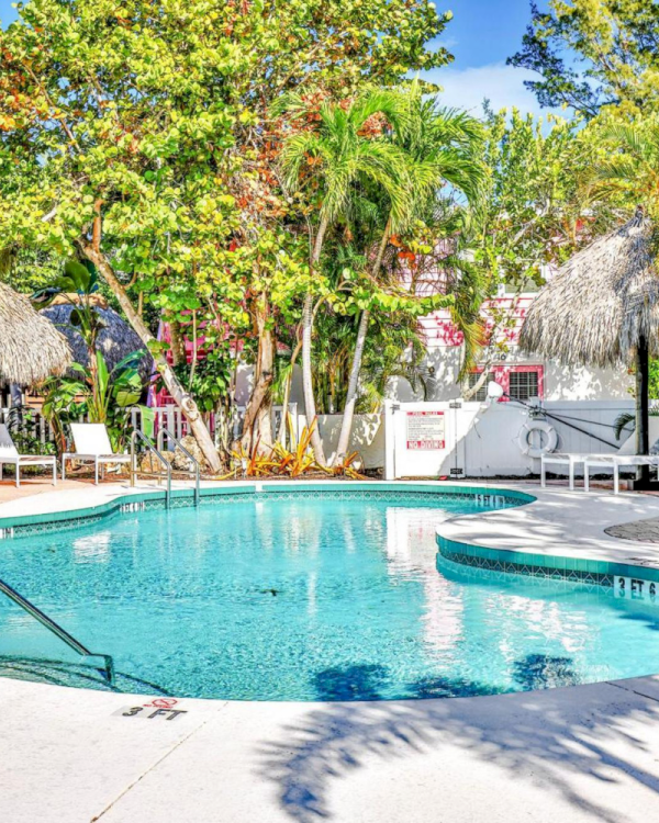 A tropical resort pool with clear water, white lounge chairs, and thatched umbrellas surrounded by lush palm trees.