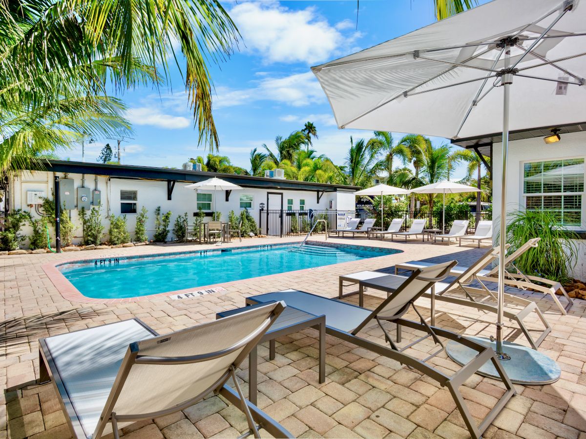 A sunlit patio with a swimming pool, lounge chairs, umbrellas, and tropical palm trees is shown in the image.