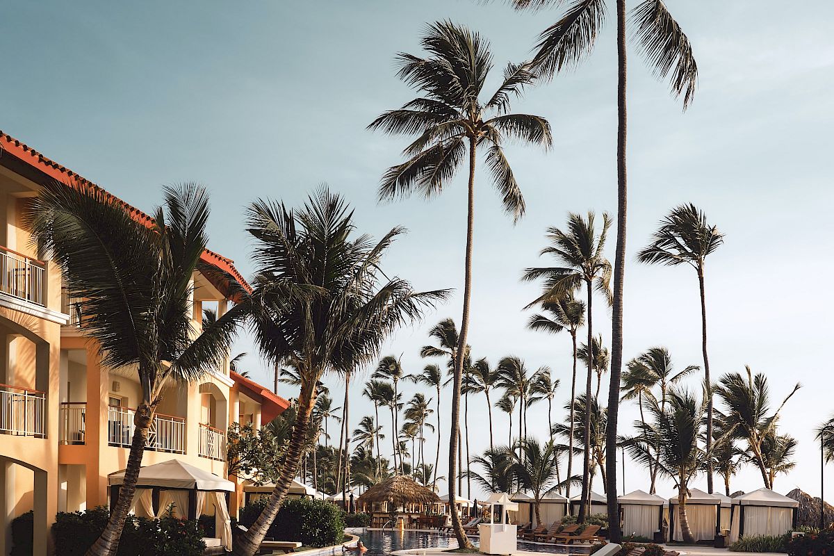 Poolside scene with loungers, palm trees, and a building under a clear sky, suggesting a tropical resort setting.